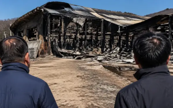 2026 04 24 social wp