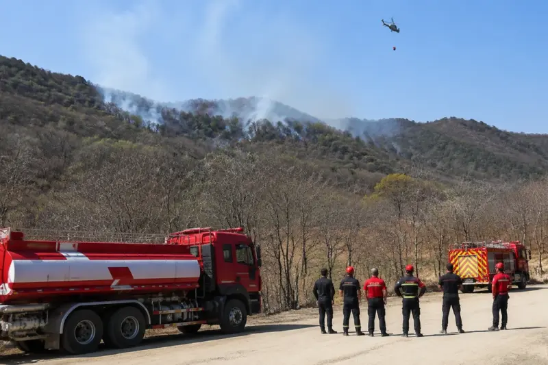 문경 야산 산불 1시간 20분 만에 주불 진화…신속 대응 뒤 원인 조사 착수