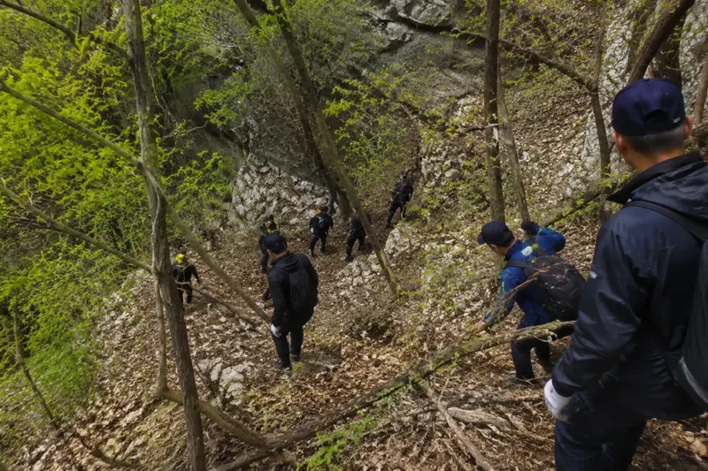 논산서 고사리 채취하다 실종된 80대, 야산 절벽 아래서 숨진 채 발견
