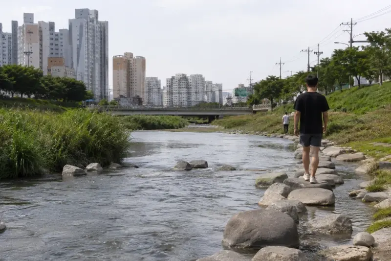 광주 도심 모기 5월 채집량 급증…작년보다 평균 1.8배 증가