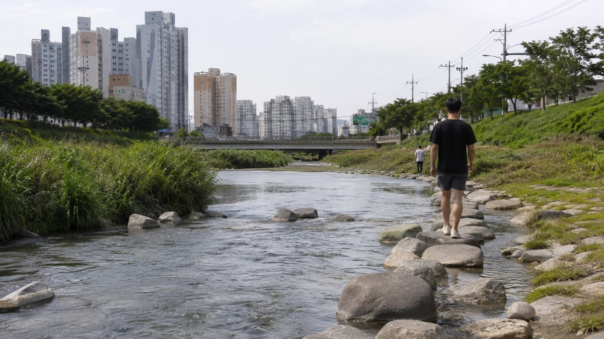 광주 도심 모기 5월 채집량 급증…작년보다 평균 1.8배 증가