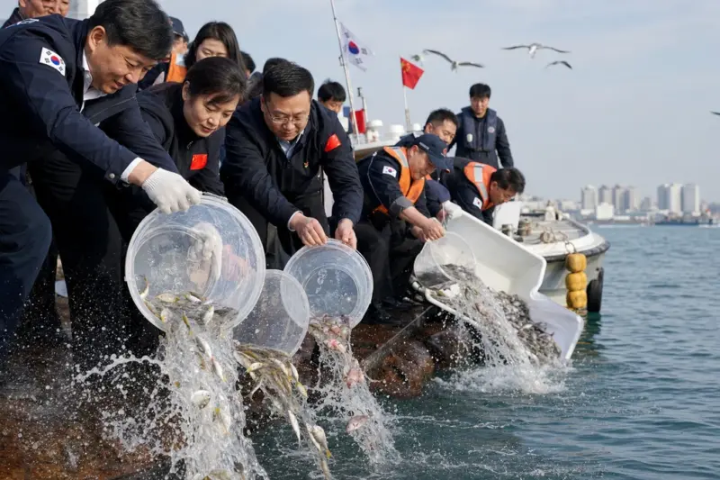 한국·중국, 서해 수산 종자 729만 마리 공동 방류